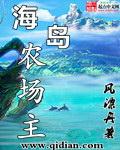 海岛小农场主