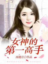 女神的最强高手txt