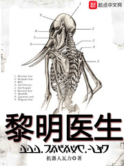 黎明医生txt精校版下载