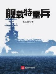 舰载特重兵txt下载精校版