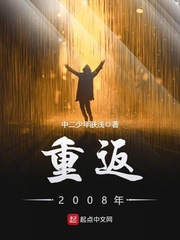 小说重返2008