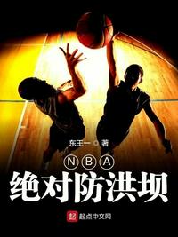 NBA绝对防洪坝TXT下载奇书网