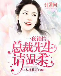 一夜锁情总裁先生请温柔epub