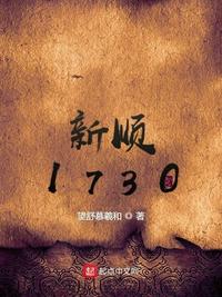 新顺1730 epub