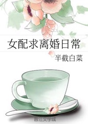 模范夫妻离婚了(高干)