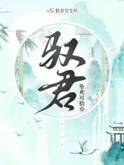 驭君心小说