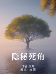 隐秘死角顶点