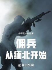 我在缅北当佣兵的小说