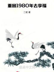 重回1980免费阅读