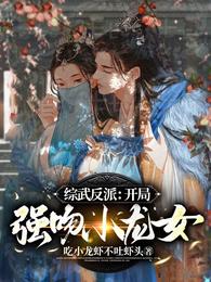 综武反派:开局强吻小龙女别名