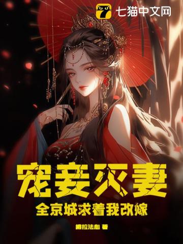 小说宠妻灭妾