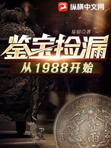 鉴宝捡漏从1988开始TXT下载