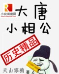 大唐小相公听书