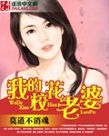 我的校花老婆为什么没有结尾