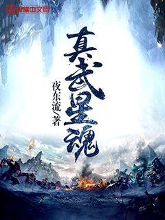 武魂真身什么效果